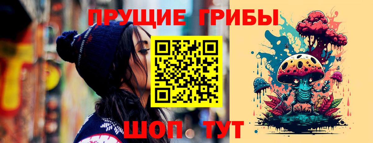 Псилоцибиновые грибы Psilocybe Сафоново