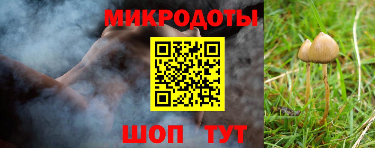 где найти   Галлюциногенные грибы MAGIC MUSHROOMS  Вход с VPN  Сафоново  Галлюциногенные грибы мицелий 